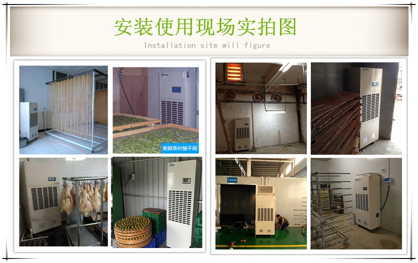 菊花烘干除濕機(jī)