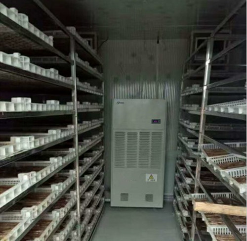 葡萄干烘干除濕機(jī)