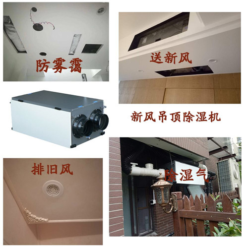除濕新風機