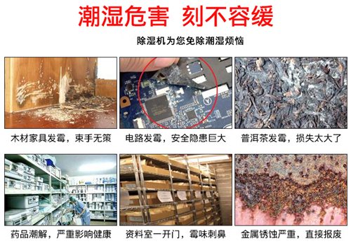 室內防潮除濕機