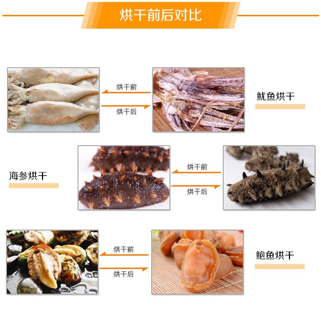 海鮮烘干機