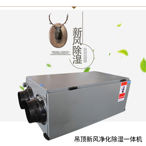 吊裝式中央除濕機(jī)