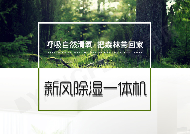 中央除濕機