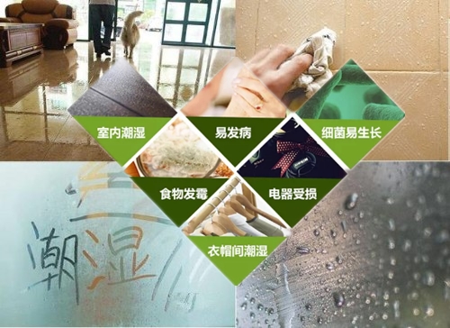 商用中央除濕機