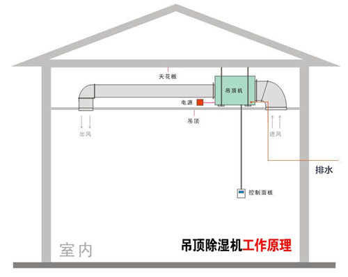 養(yǎng)豬場除濕機(jī)