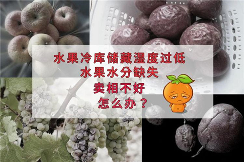 氣調(diào)保鮮庫(kù)加濕機(jī) 氣調(diào)保鮮庫(kù)加濕機(jī)