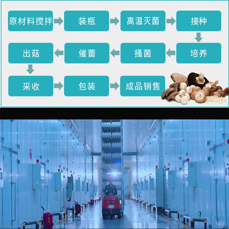 菌菇房加濕機(jī) 菌菇房加濕機(jī)