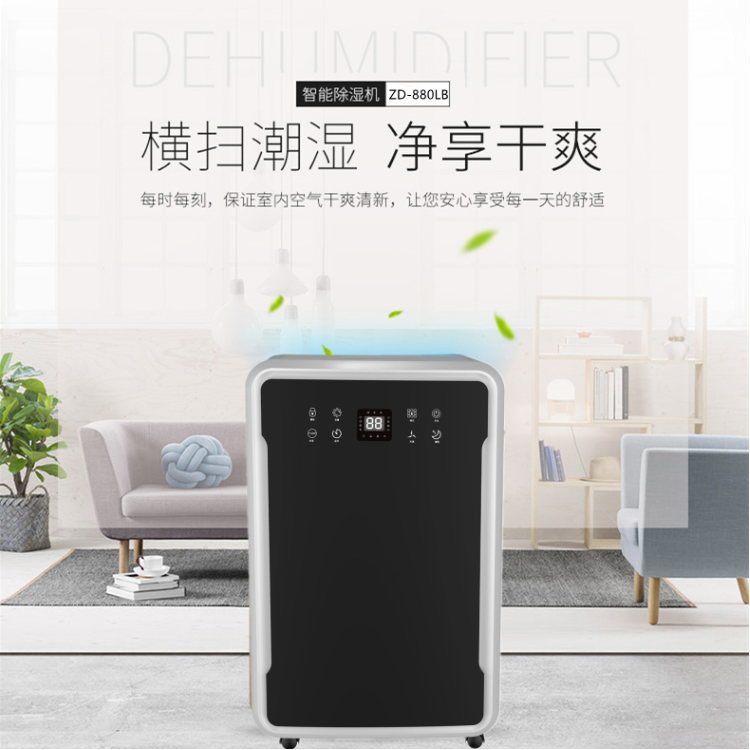 別墅除濕機(jī).jpg 別墅除濕機(jī).jpg
