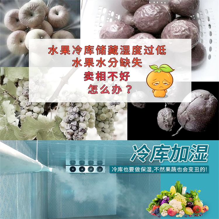 冷庫(kù)加濕器
