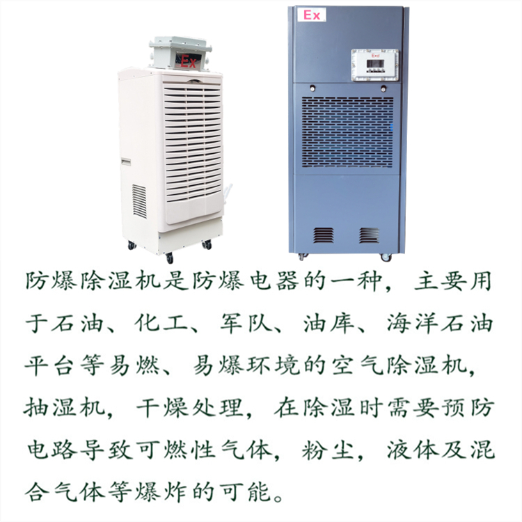 危化品防爆除濕機(jī)