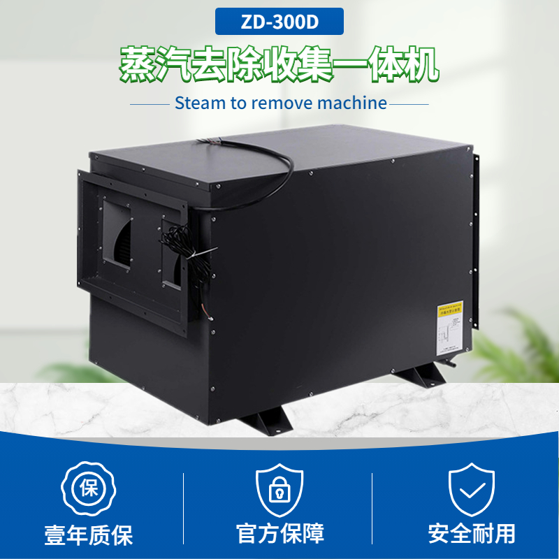 蒸汽處理機