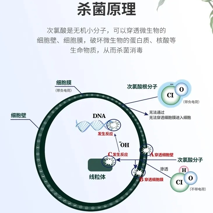 公共場(chǎng)所消毒原理