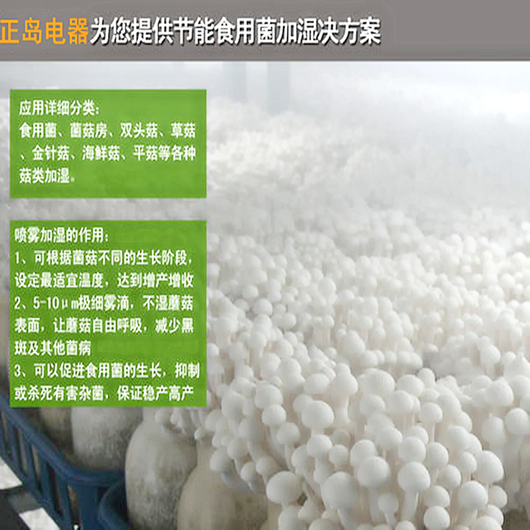 食用菌大棚加濕系統 食用菌大棚加濕系統
