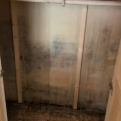 家用抽濕機